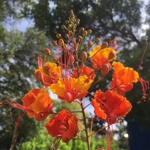 Meet your Posher, Paige